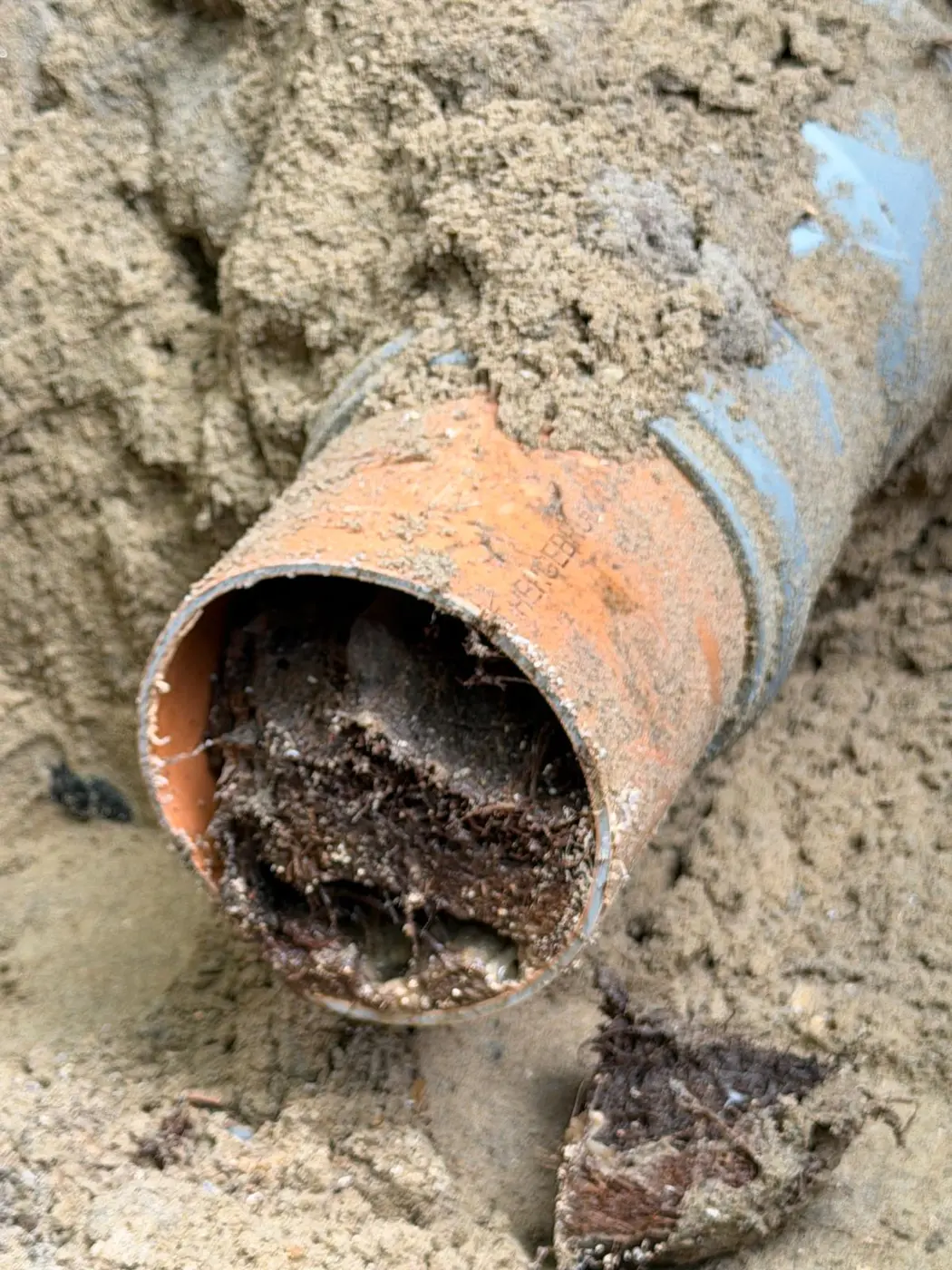 Boomwortels en vuil zichtbaar in een opengemaakte rioolbuis
